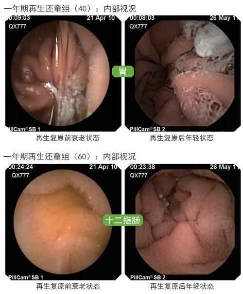 bevictor伟德-bv伟德国际体育官方网站