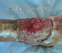 bevictor伟德-bv伟德国际体育官方网站