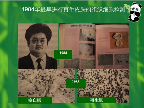 bevictor伟德-bv伟德国际体育官方网站