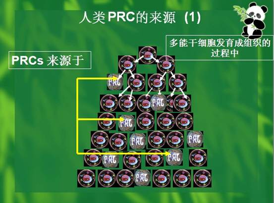 bevictor伟德-bv伟德国际体育官方网站
