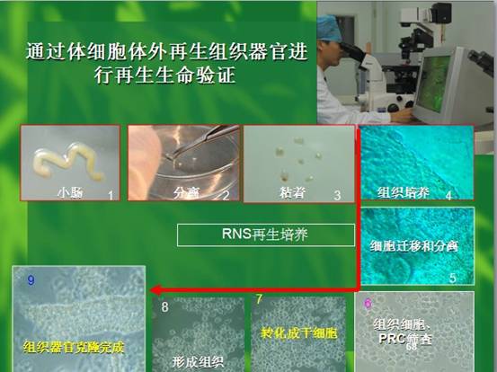 bevictor伟德-bv伟德国际体育官方网站