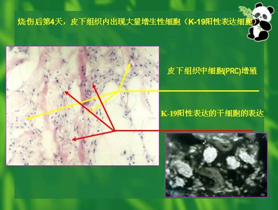 bevictor伟德-bv伟德国际体育官方网站