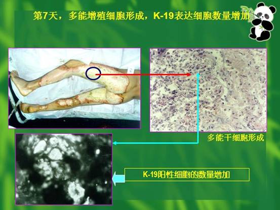 bevictor伟德-bv伟德国际体育官方网站