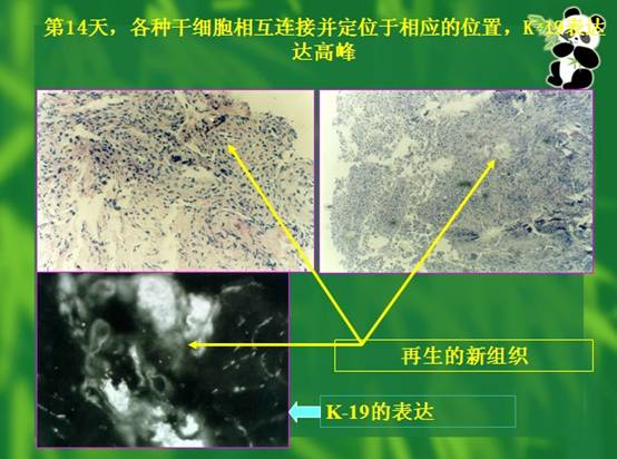bevictor伟德-bv伟德国际体育官方网站