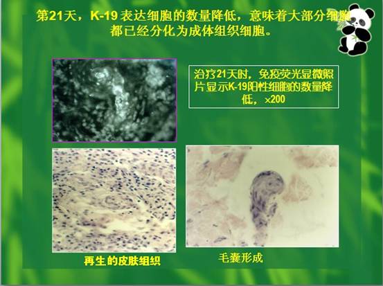 bevictor伟德-bv伟德国际体育官方网站