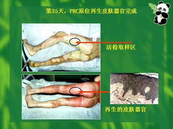 bevictor伟德-bv伟德国际体育官方网站
