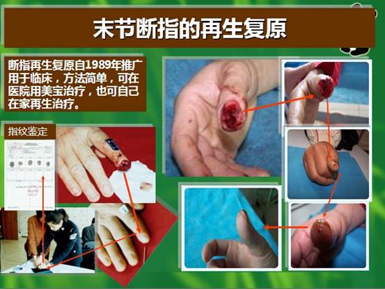 bevictor伟德-bv伟德国际体育官方网站