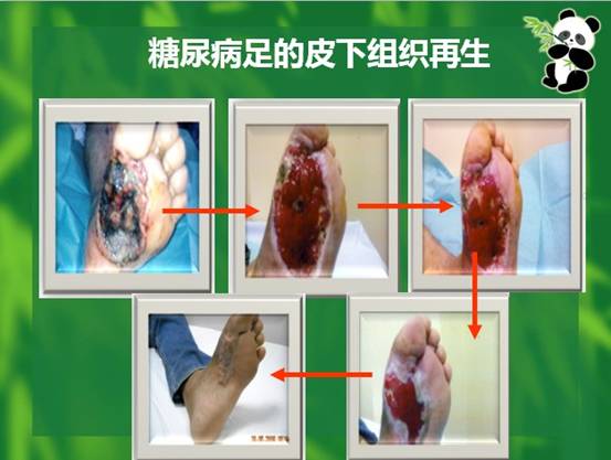 bevictor伟德-bv伟德国际体育官方网站
