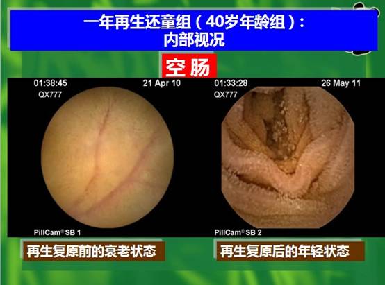bevictor伟德-bv伟德国际体育官方网站