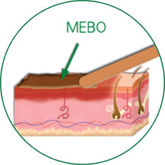 bevictor伟德-bv伟德国际体育官方网站