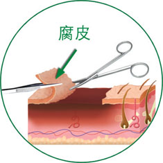 bevictor伟德-bv伟德国际体育官方网站