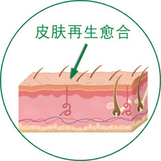 bevictor伟德-bv伟德国际体育官方网站
