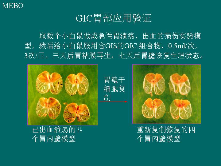 bevictor伟德-bv伟德国际体育官方网站