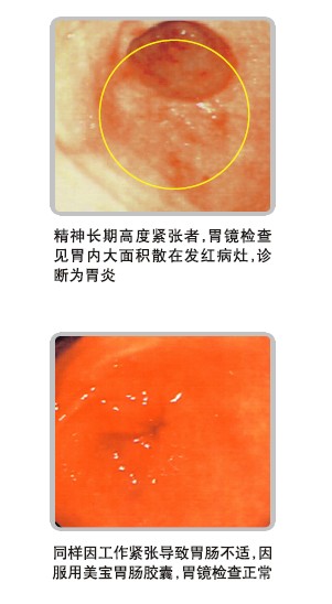 bevictor伟德-bv伟德国际体育官方网站