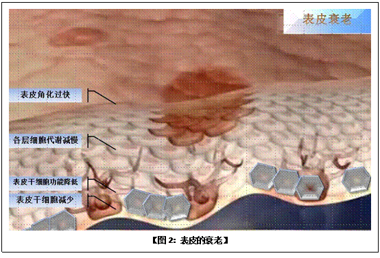 bevictor伟德-bv伟德国际体育官方网站