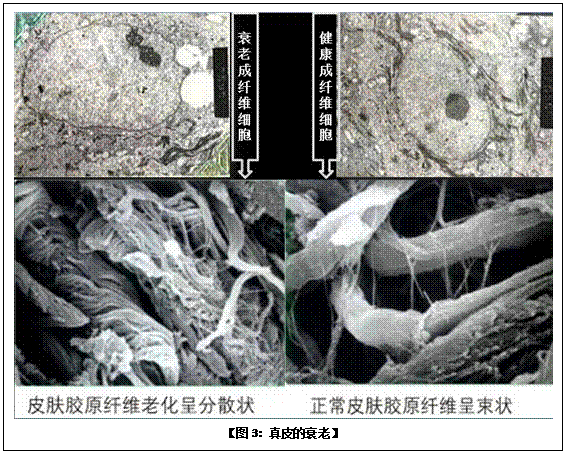 bevictor伟德-bv伟德国际体育官方网站