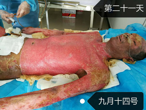 bevictor伟德-bv伟德国际体育官方网站