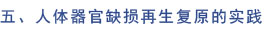 bevictor伟德-bv伟德国际体育官方网站