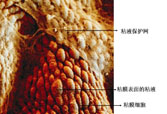 bevictor伟德-bv伟德国际体育官方网站
