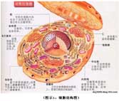 bevictor伟德-bv伟德国际体育官方网站